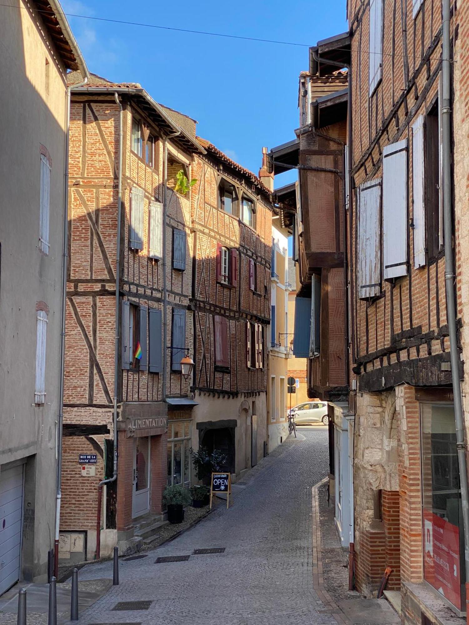 Le Patio St Etienne - Cite Episcopale - Parking Inclus Apartment Albi Ngoại thất bức ảnh